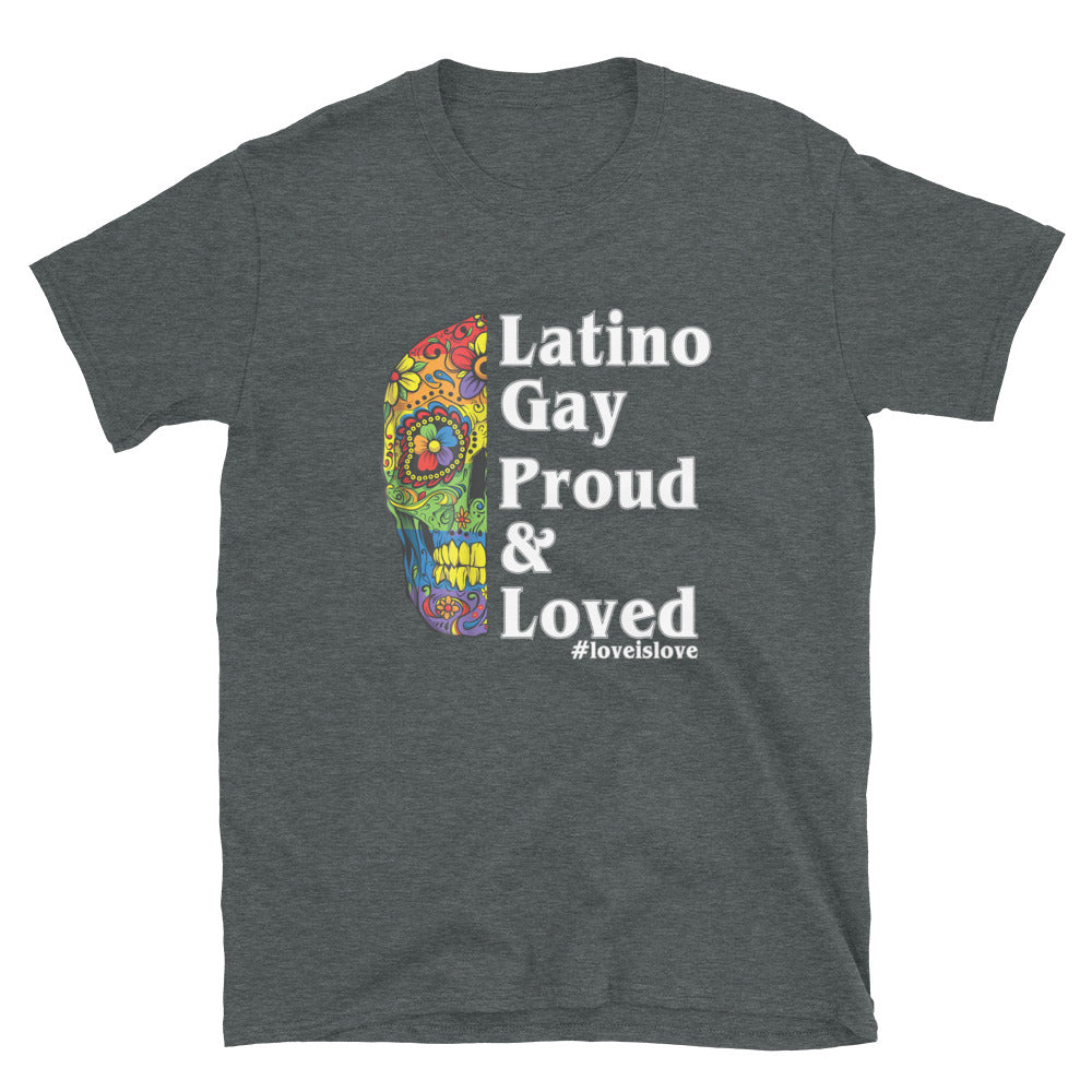 Latino Gay Proud & Loved T-Shirt