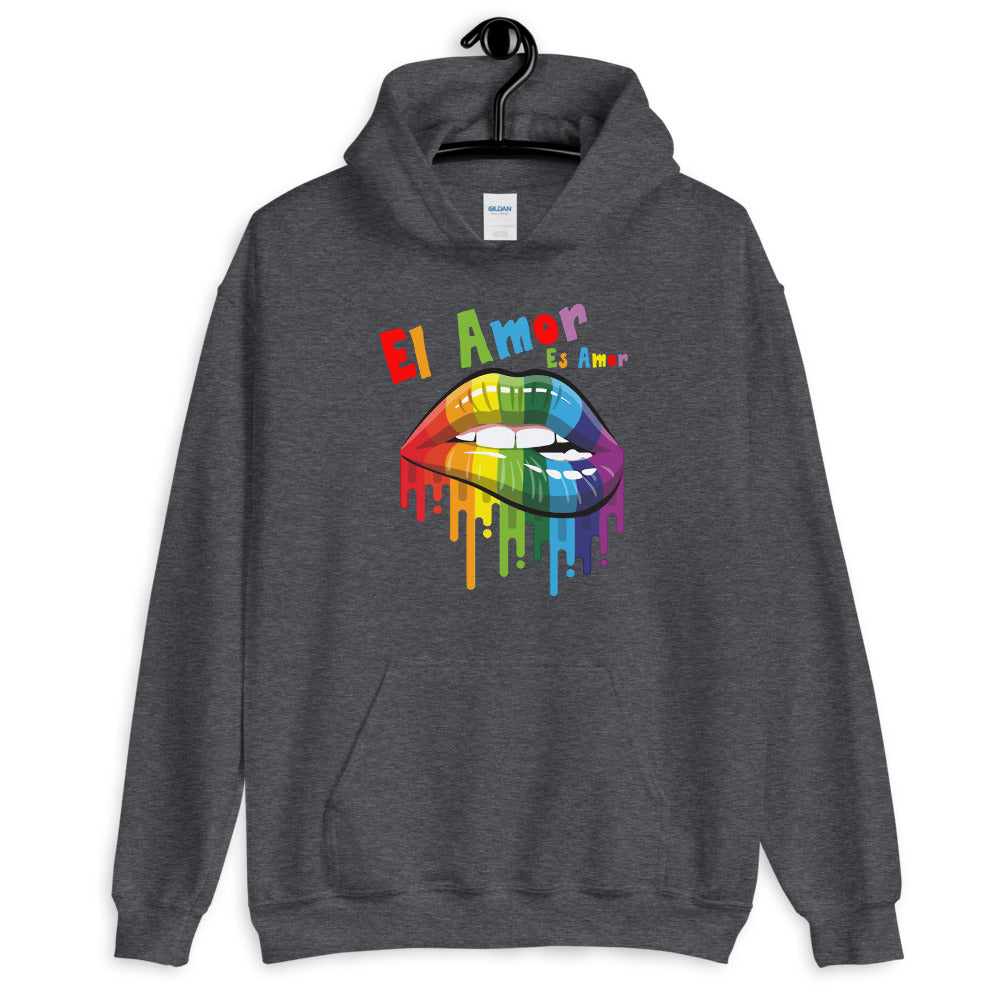 El Amor Es Amor - Love is Love - LGBTQ Pride Hoodie